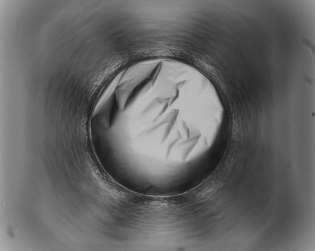 X0000100750394200807101708