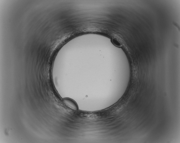 X0000100750395200807101708