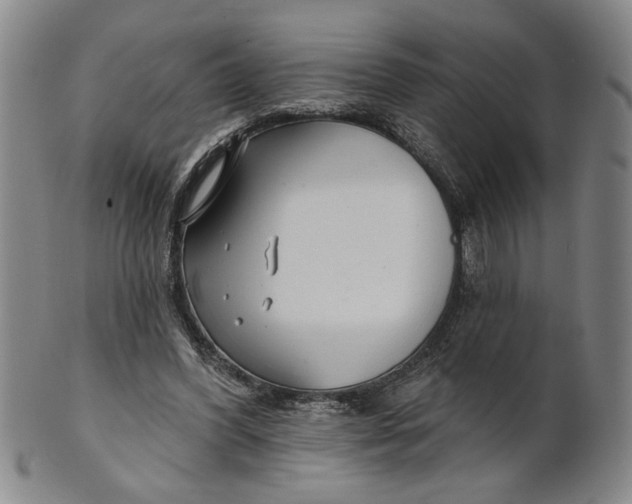 X0000100750396200807101708