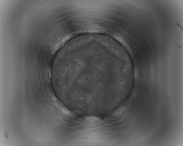 X0000100750397200807101708