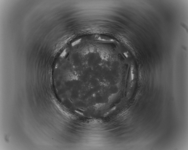 X0000100750398200807101708