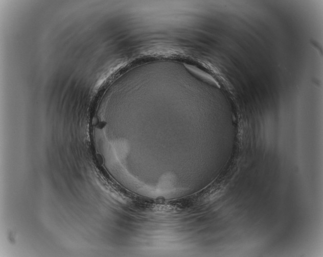 X0000100750399200807101708