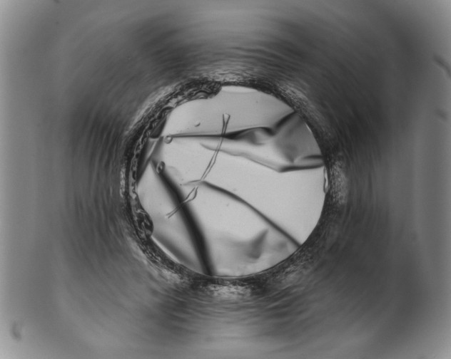 X0000100750400200807101708