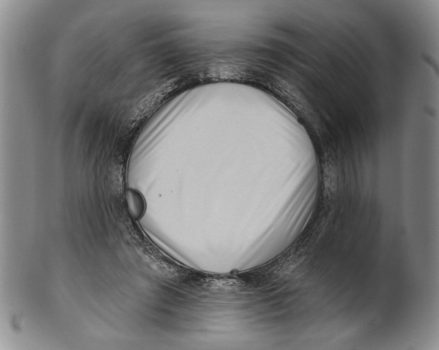 X0000100750401200807101708