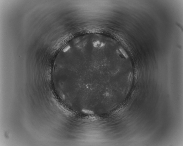 X0000100750402200807101708