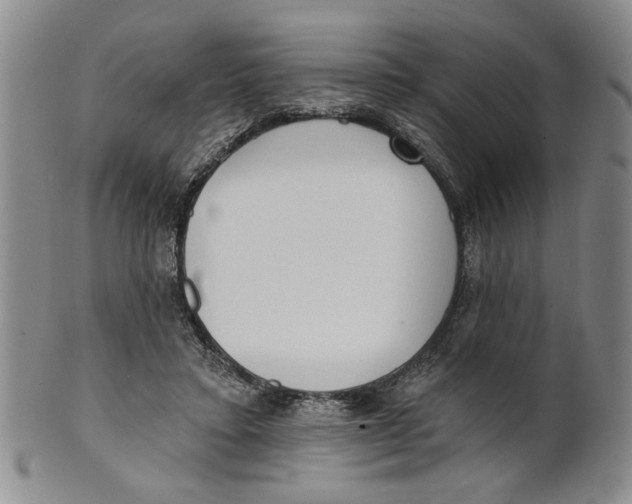 X0000100750403200807101708