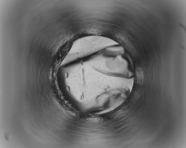 X0000100750404200807101708