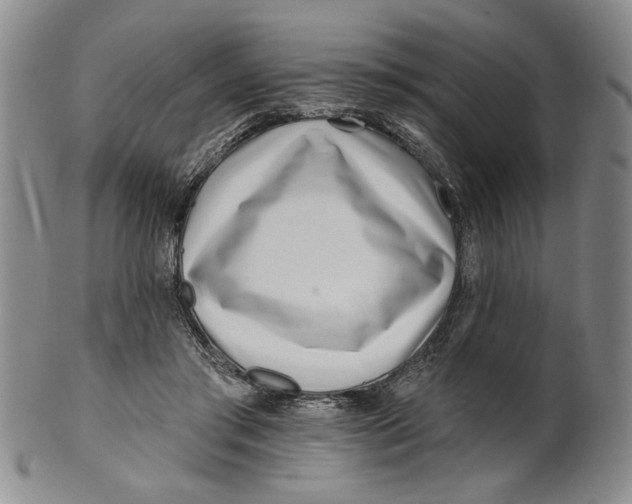 X0000100750405200807101708