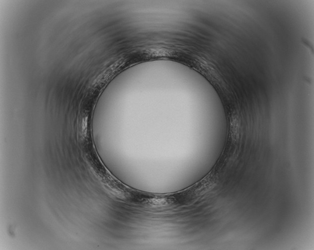 X0000100750406200807101708