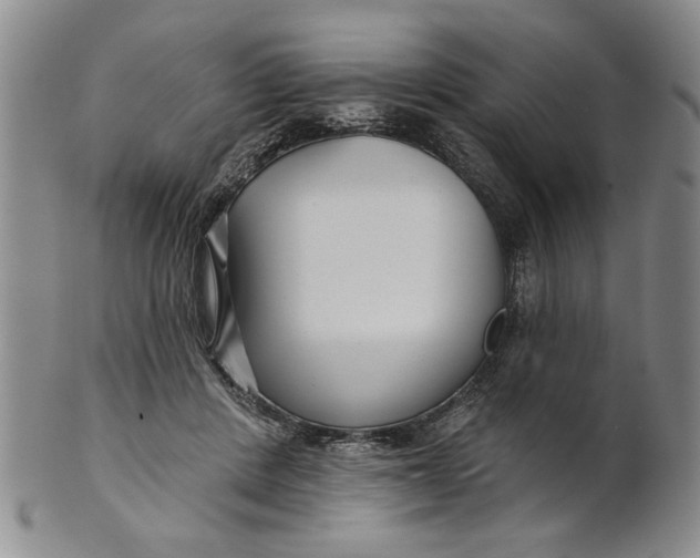 X0000100750408200807101708