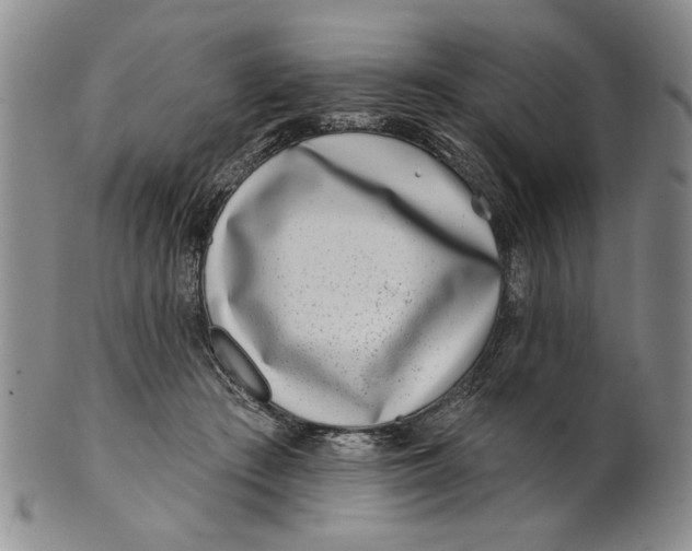 X0000100750409200807101708