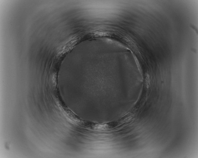 X0000100750410200807101708