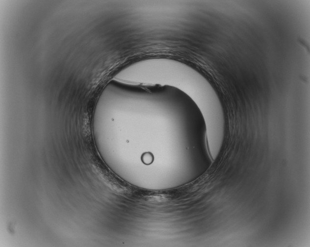 X0000100750411200807101708