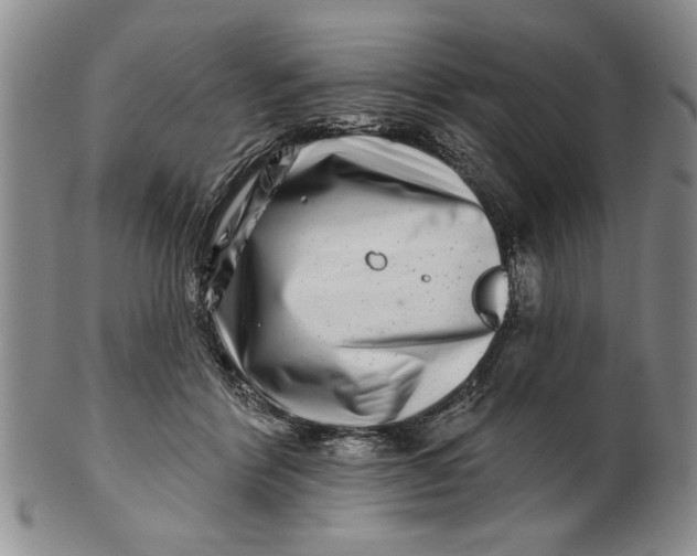 X0000100750412200807101708