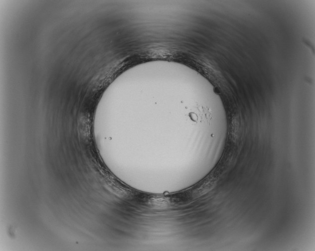 X0000100750413200807101708