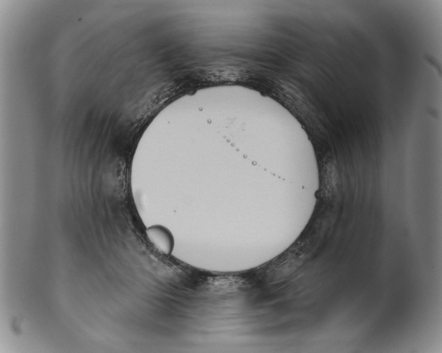 X0000100750414200807101708