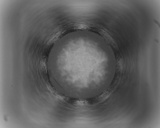 X0000100750415200807101708