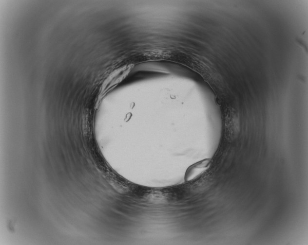 X0000100750416200807101708