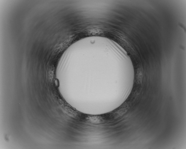 X0000100750417200807101708