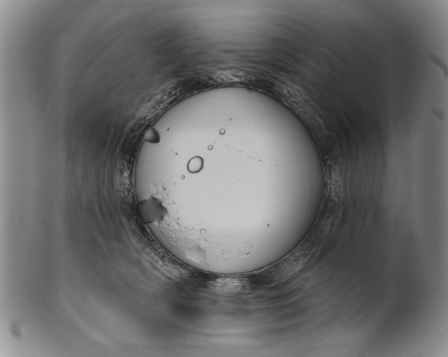 X0000100750418200807101708