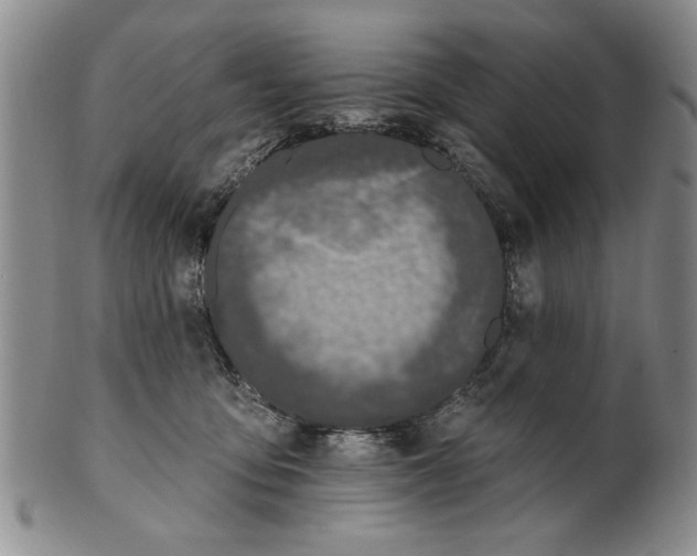 X0000100750419200807101708