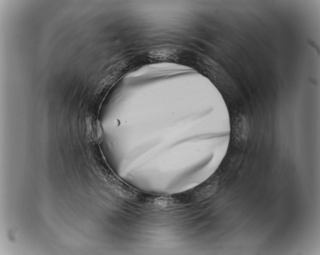 X0000100750420200807101708