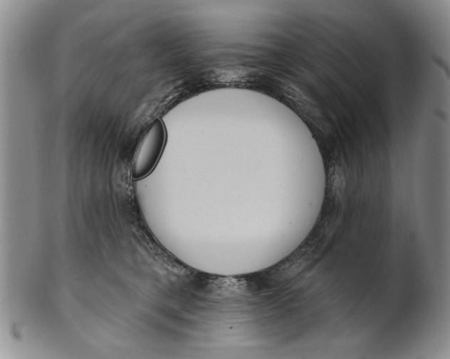 X0000100750421200807101708