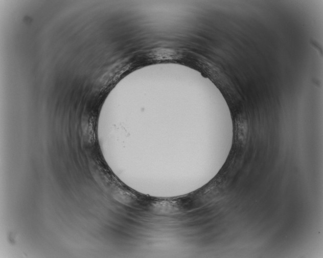 X0000100750422200807101708