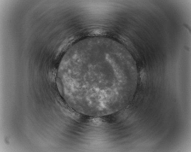 X0000100750423200807101708