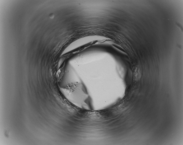 X0000100750424200807101708