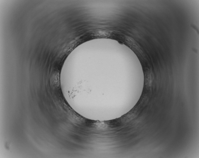 X0000100750425200807101708