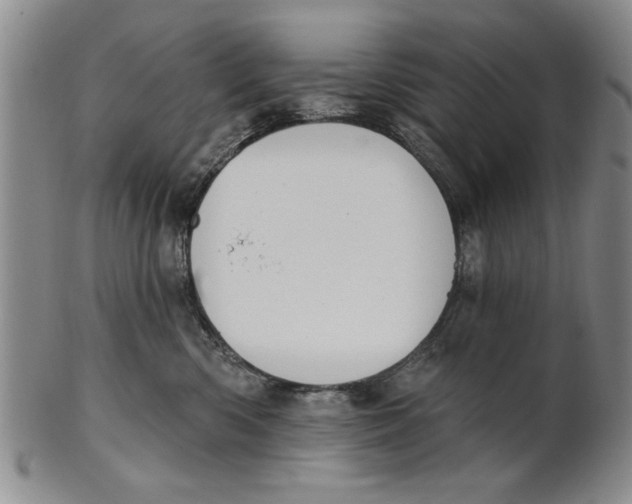 X0000100750426200807101708