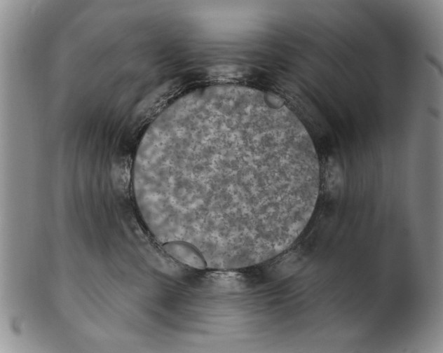 X0000100750427200807101708