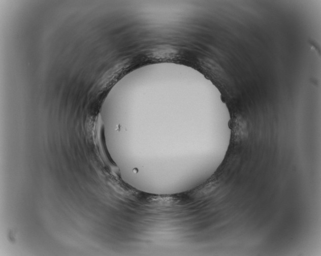 X0000100750428200807101708