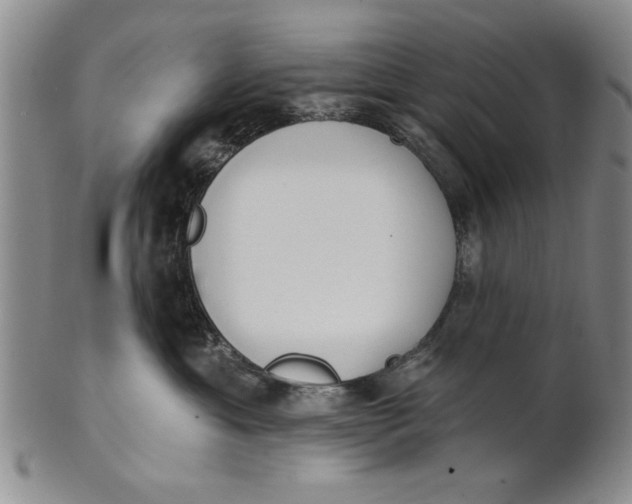 X0000100750429200807101708