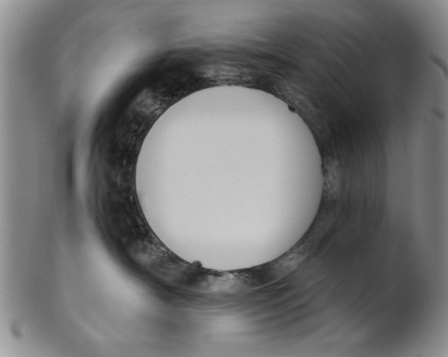 X0000100750430200807101708