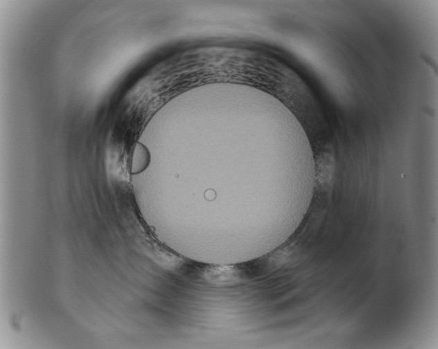 X0000100750431200807101708