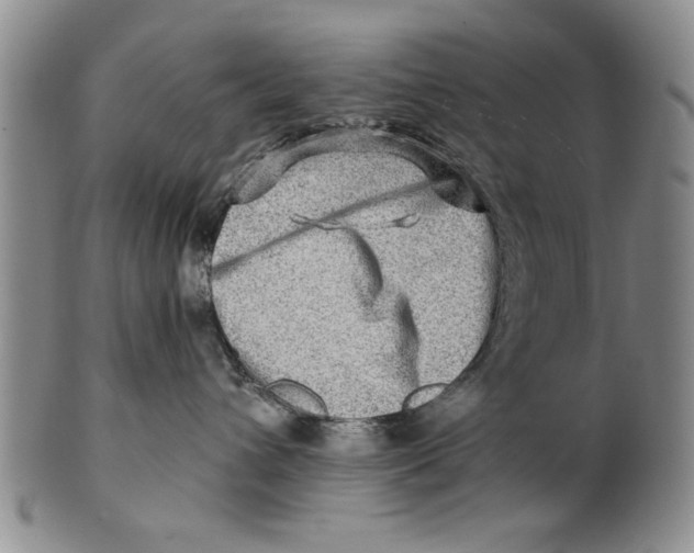 X0000100750432200807101708