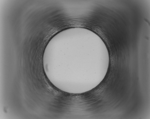 X0000100750433200807101707