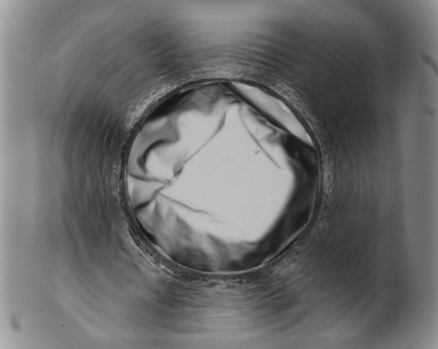 X0000100750434200807101707