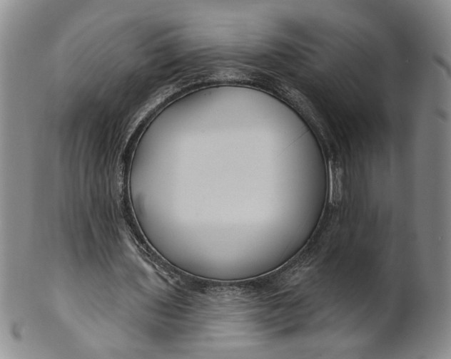 X0000100750435200807101707