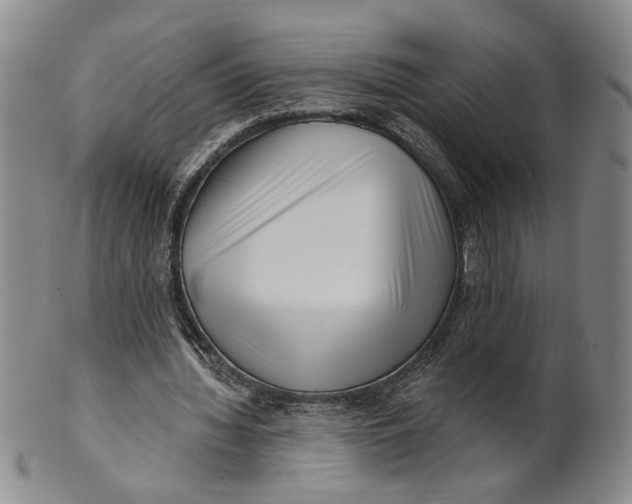 X0000100750436200807101707