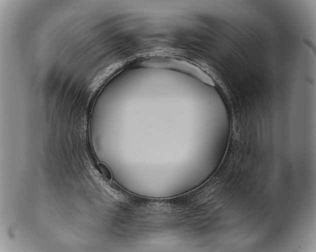 X0000100750437200807101707