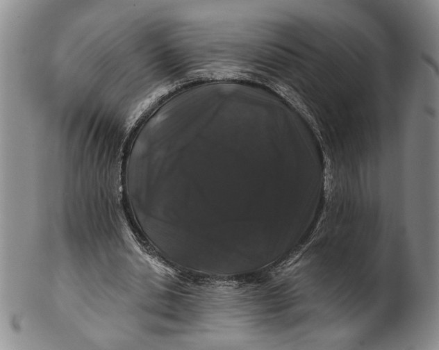 X0000100750438200807101707