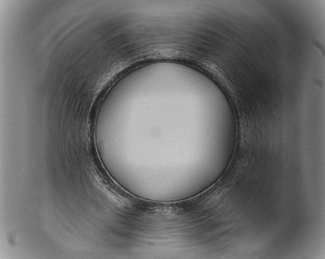 X0000100750439200807101707