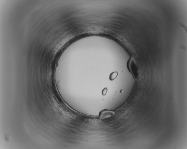 X0000100750440200807101707