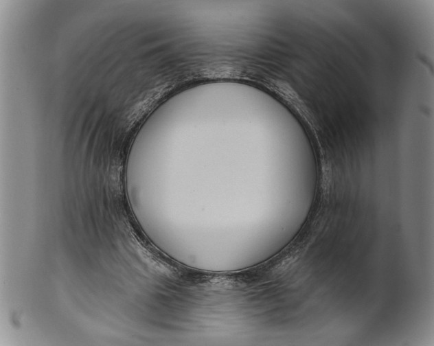 X0000100750441200807101707