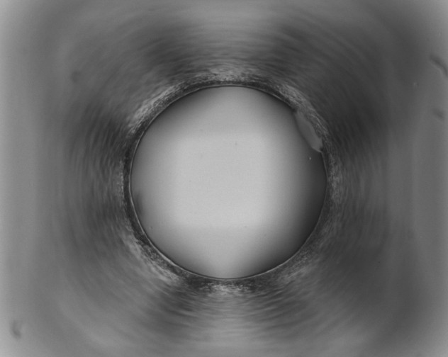 X0000100750442200807101707