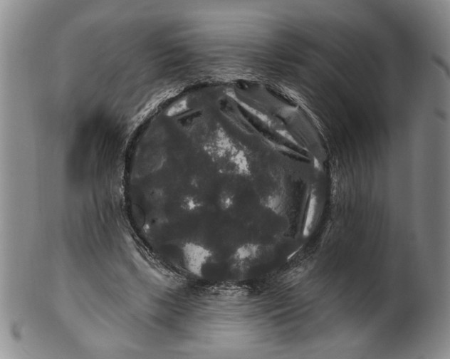 X0000100750443200807101707