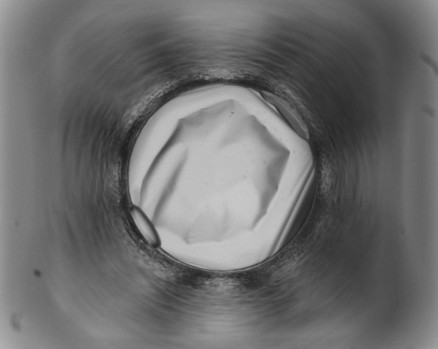 X0000100750444200807101707